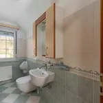 Way To Heaven Apartment *